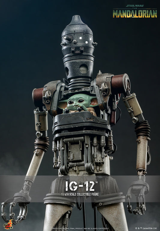 IG-12