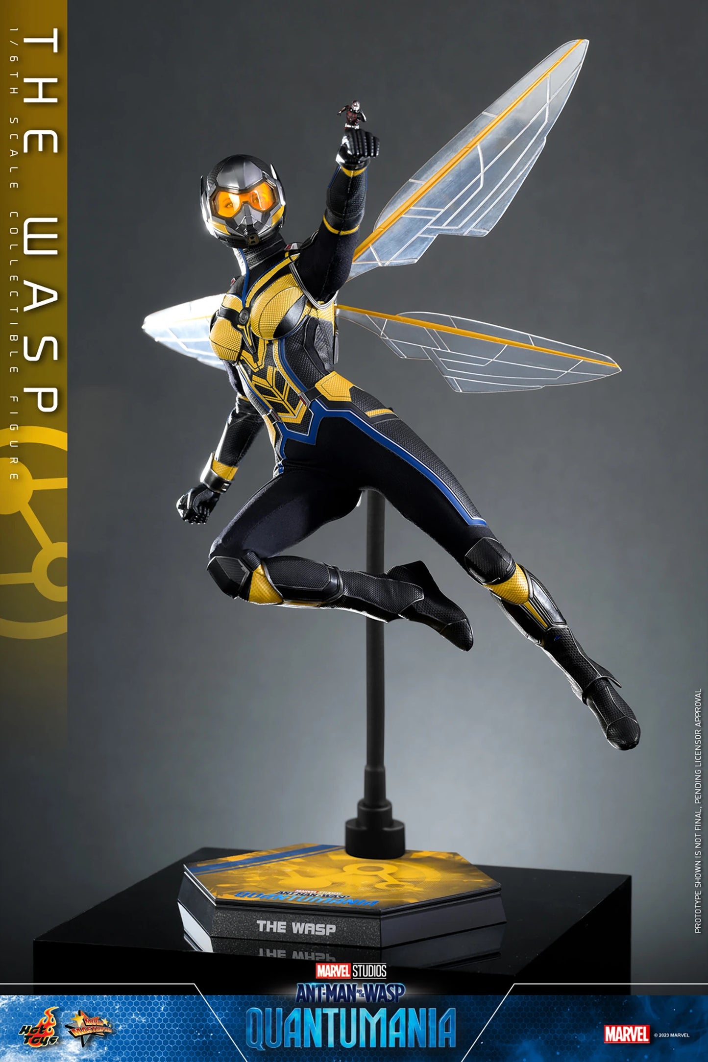 Wasp