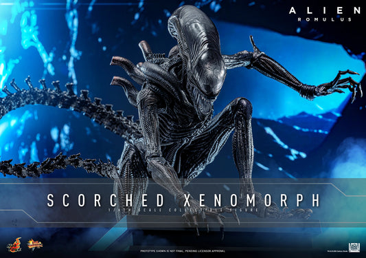 Alien Romulus Scorched Xenomorph Hot Toys